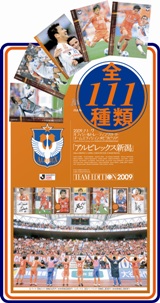 2009シーズン・チームエディション