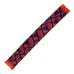 X-LARGE�ǥ�����